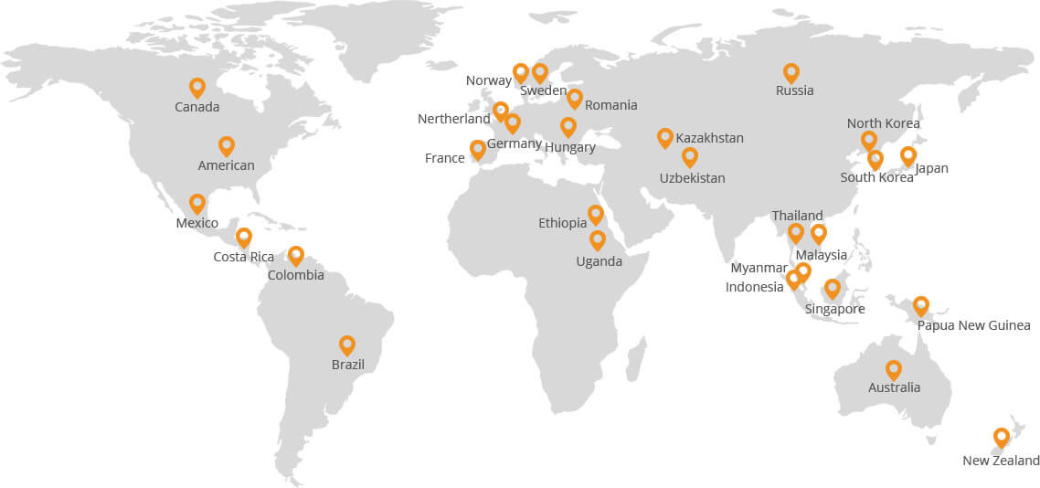 Foshan Land Packaging Machinery Co., Ltd.
