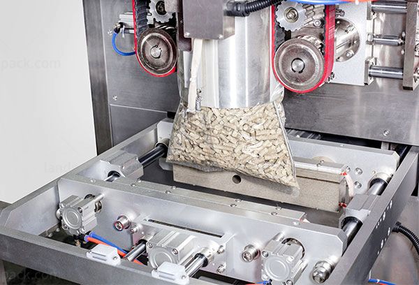 cashew packing machine