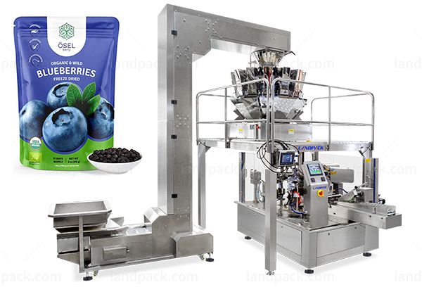 dry fruit packing machine