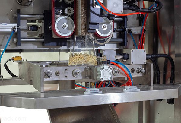 cashew packing machine price