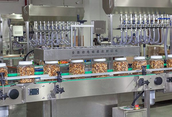 peanut packing machine price