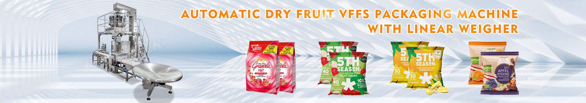 dry fruit packing machine price
