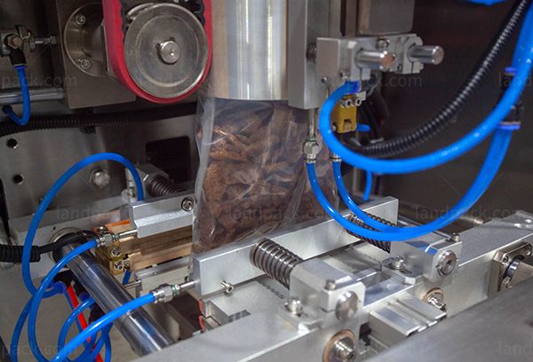 dried food packing machine