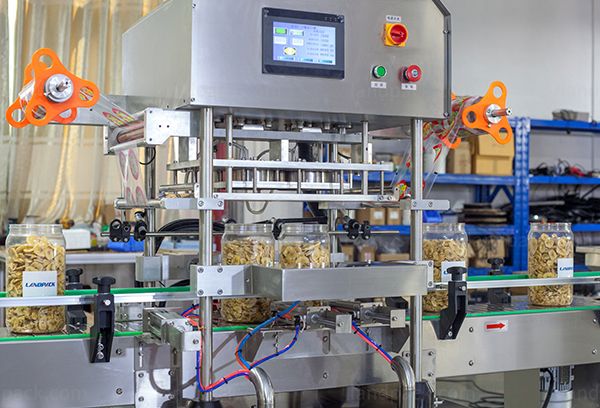 dried food packing machine