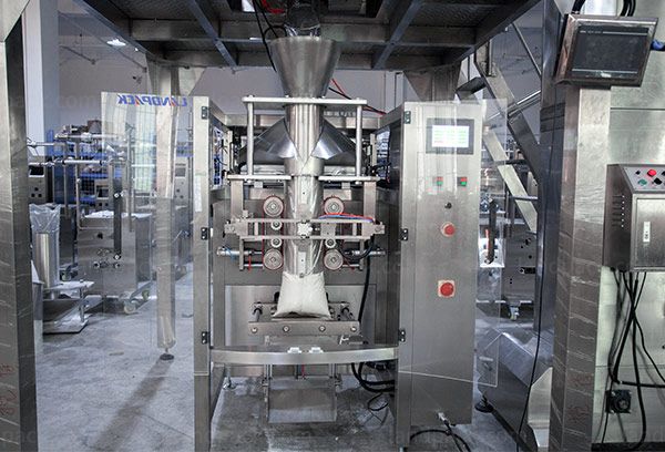 automatic seed packing machine