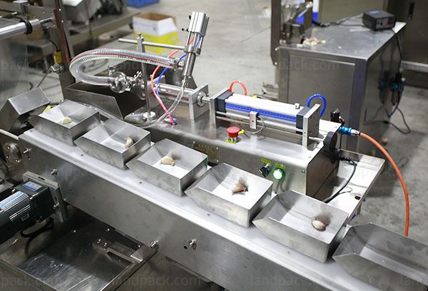 garlic packing machine cost