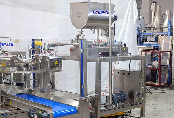 garlic paste packing machine