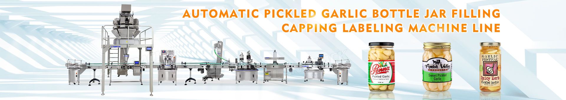 garlic filling machine