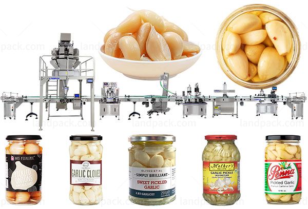 ginger garlic paste filling machine