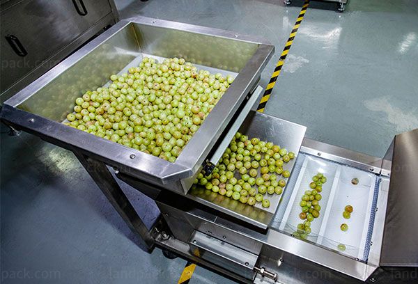 pickle filling machine