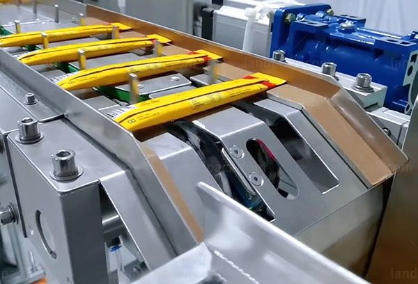 multi track packing machine