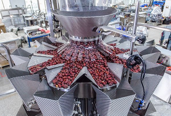 dry fruit packing machine price