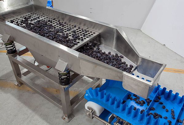 dry fruit packing machine price