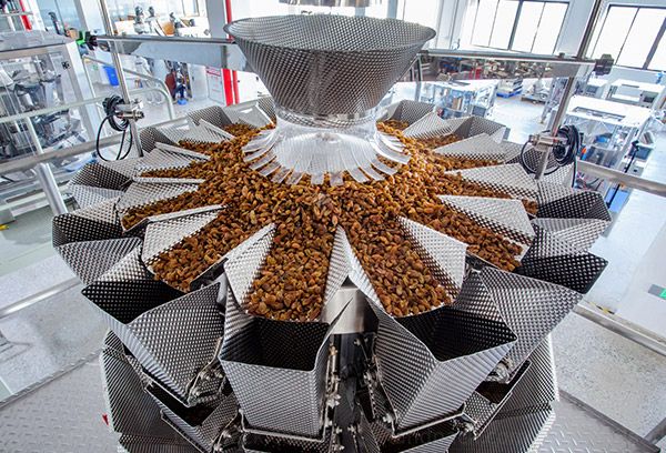 dry fruit packing machine price