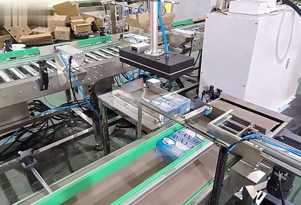 case packing robot