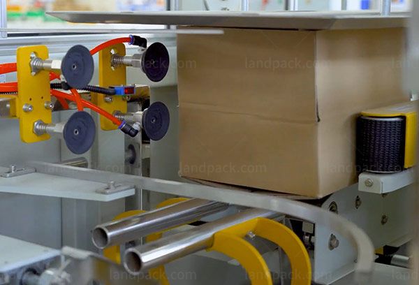 case packing system