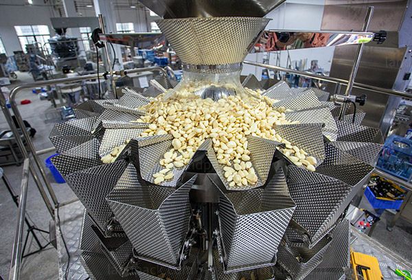 garlic packing machine cost