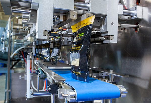 ginger garlic packing machine