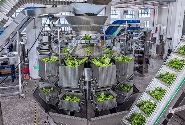 dry food packaging machine