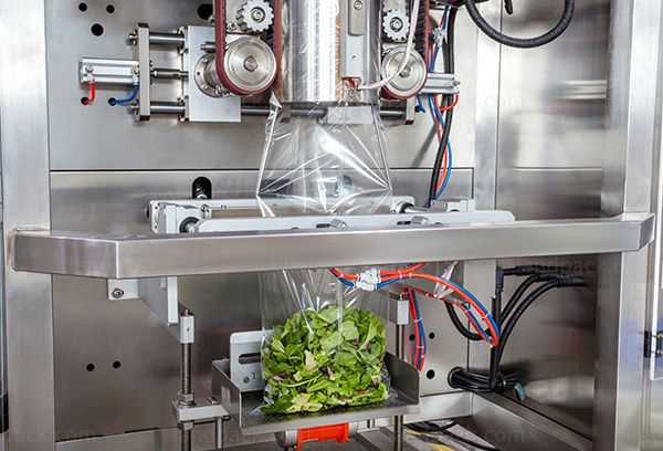 dried food packing machine