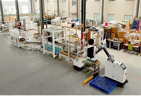 case packing system