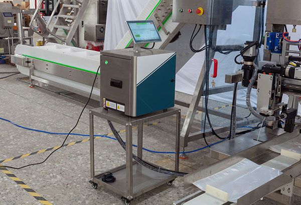 dry fruit packing machine price
