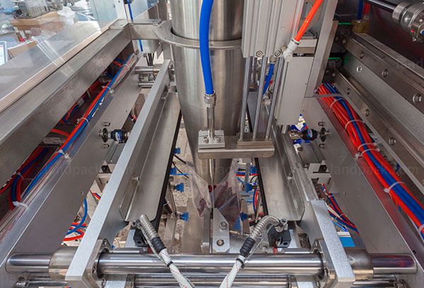 vacuum packing machine for dry fruit
