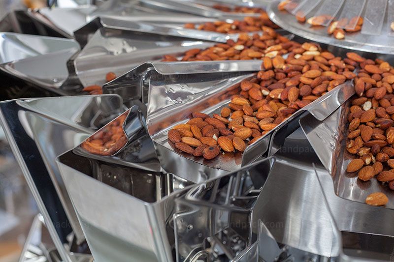 Automatic Cashew Nut Premade Pouch Packing Machine | Horizontal Pouch Packing Machine