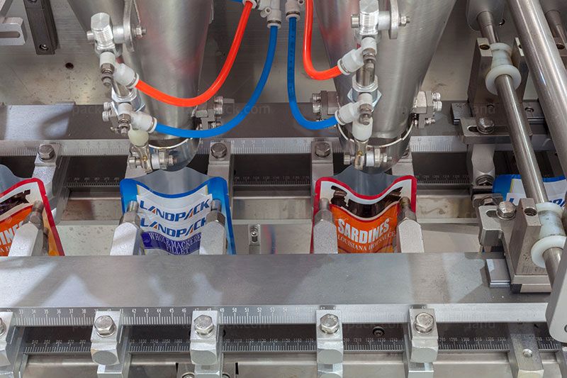 High Speed Duplex Horizontal Pouch Pickles Packing Machine
