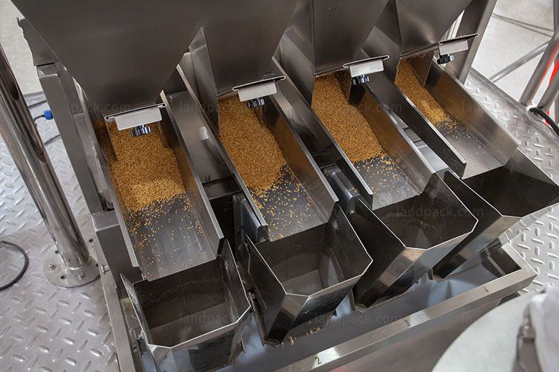 Automated Horizontal Premade Pouch Spice Packaging Line With Case Packer Automated Horizontal Premade Pouch Spice Packaging Line With Case Packer