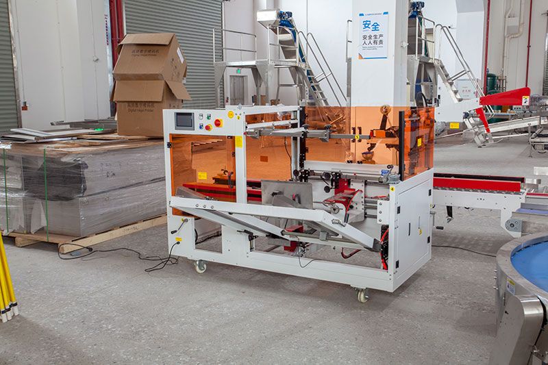Automated Horizontal Premade Pouch Spice Packaging Line With Case Packer Automated Horizontal Premade Pouch Spice Packaging Line With Case Packer