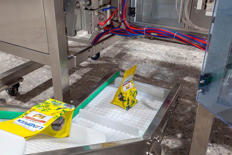 Automatic Mixed Nuts Snack Mini Doypack Packing Machine With Measure