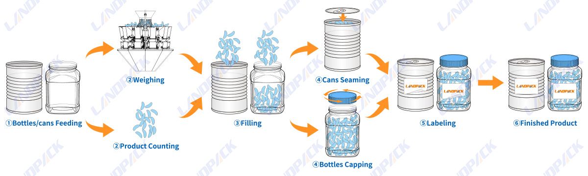 Automatic Granule Gummy Bottle Counting And Packing Machine Automatic Granule Gummy Bottle Counting And Packing Machine