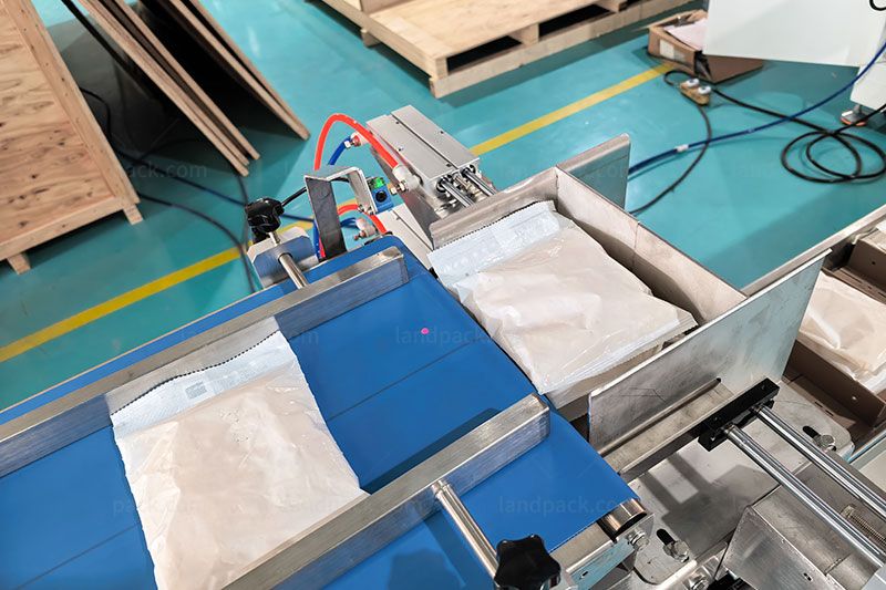 Automatic Bag Counting Cartoning Packing System | inline filler Automatic Bag Counting Cartoning Packing System | inline filler