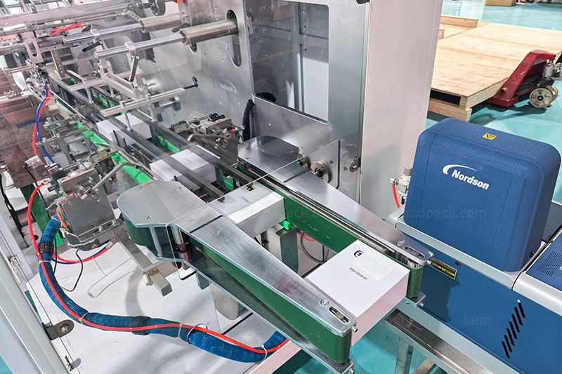 Automatic Bag Counting Cartoning Packing System | inline filler Automatic Bag Counting Cartoning Packing System | inline filler