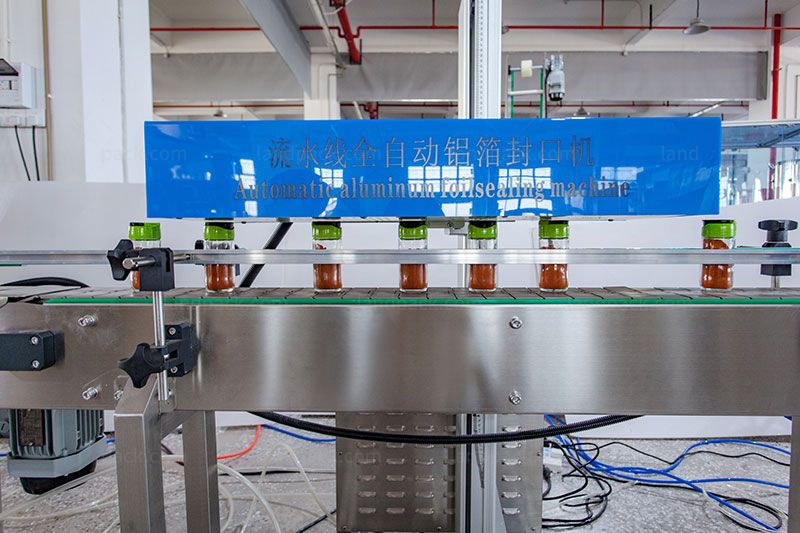 Spice Filling Machine | Powder Bottle Filling Capping and Labeling Line Spice Filling Machine | Powder Bottle Filling Capping and Labeling Line