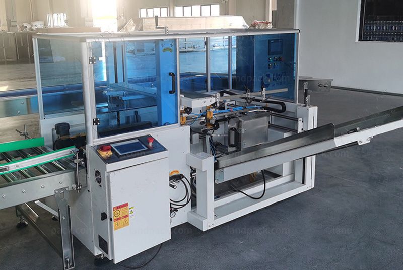 Automatic Delta Robot Case Packing System With Robotic Palletizer Automatic Delta Robot Case Packing System With Robotic Palletizer