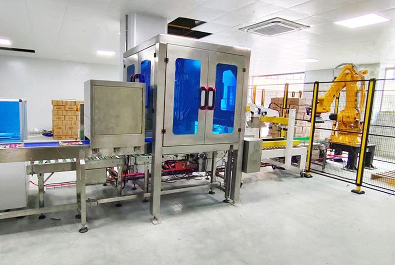 Automatic Delta Robot Case Packing System With Robotic Palletizer Automatic Delta Robot Case Packing System With Robotic Palletizer