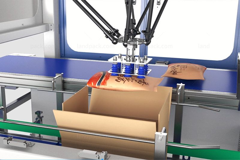 Automatic Carton Case Packing System with Palletizer Machine For Pouch Automatic Carton Case Packing System with Palletizer Machine For Pouch