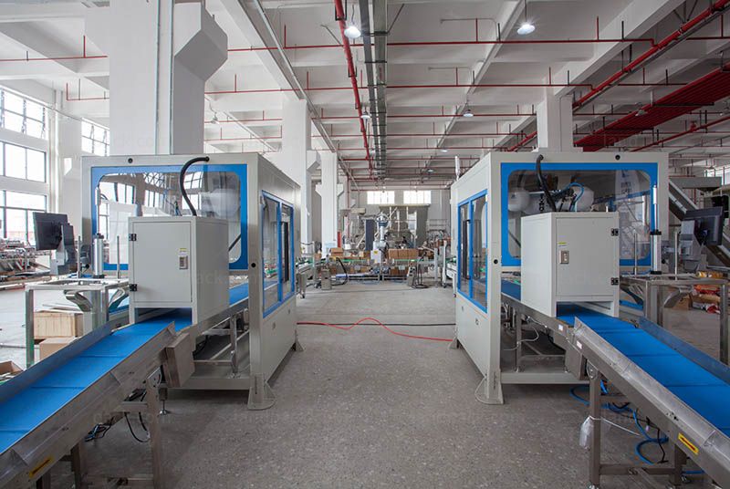 Bagging Cartoning Palletising System | Automatic Horizontal Pouch Packing Machine
