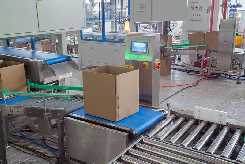 Bagging Cartoning Palletising System | Automatic Horizontal Pouch Packing Machine