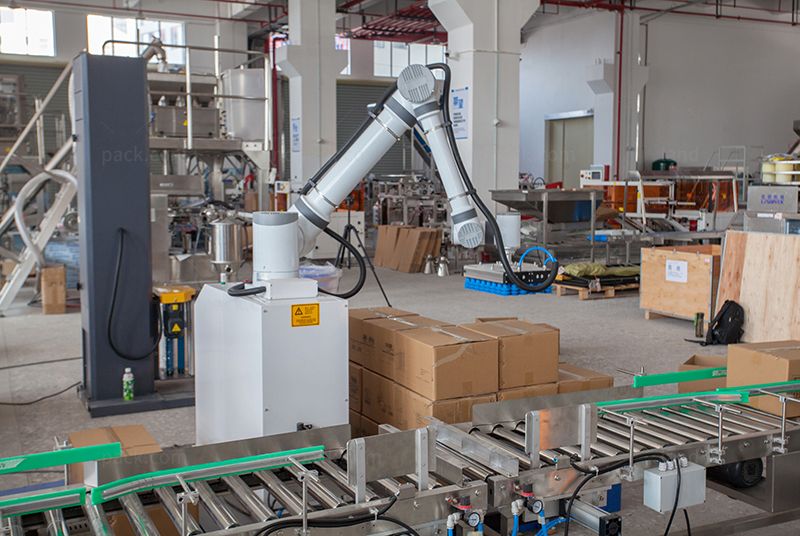 Bagging Cartoning Palletising System | Automatic Horizontal Pouch Packing Machine