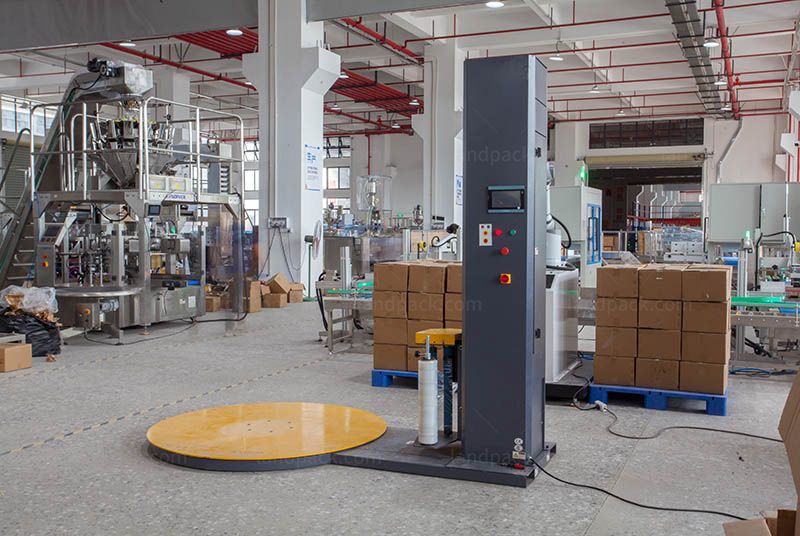 Bagging Cartoning Palletising System | Automatic Horizontal Pouch Packing Machine