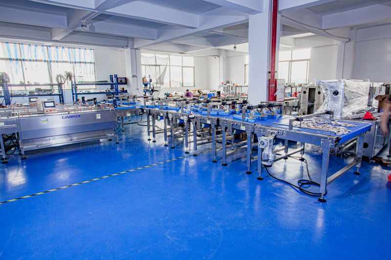 Automatic Feeding And Packing System For Bread, Waffle, Chocolate Bar Automatic Feeding And Packing System For Bread, Waffle, Chocolate Bar