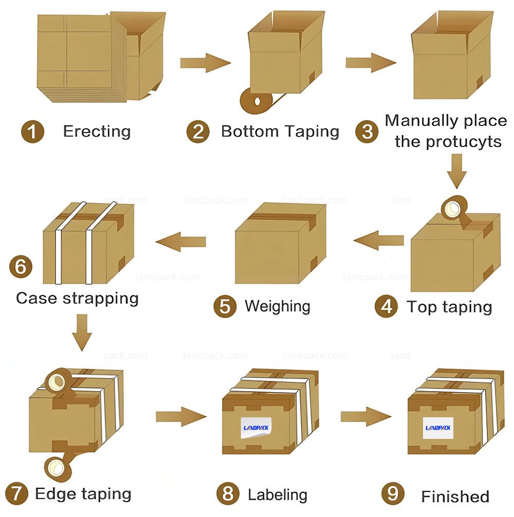 Case Packing System | Intelligent Packaging System