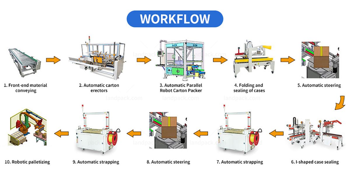 Automated Intelligent Powder Weighing Case Packing System
