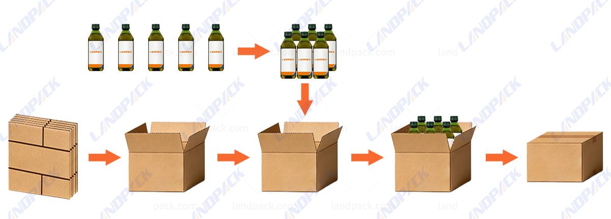 Automatic Case Packing Robot Dropping Type Case Packer for Cans or Bottles