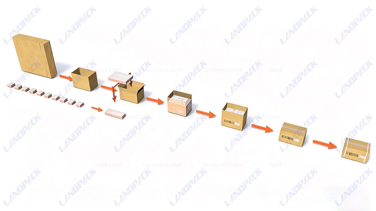 Automatic Case Packing Robot Carton Palletizing Packing Systems End of Line Packaging Solutions Automatic Case Packing Robot Carton Palletizing Packing Systems End of Line Packaging Solutions