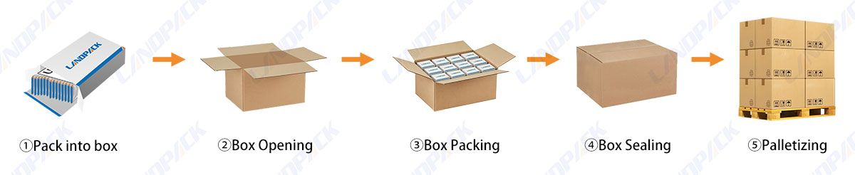 End of line Packaging Case Erector Packer Case Sealer Robotic Case Packing System End of line Packaging Case Erector Packer Case Sealer Robotic Case Packing System