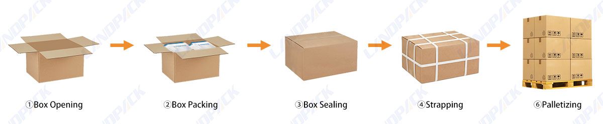 Automatic Case Packing Packaging Automatic Packaging Systems with Delta Robot Palletizer Automatic Case Packing Packaging Automatic Packaging Systems with Delta Robot Palletizer